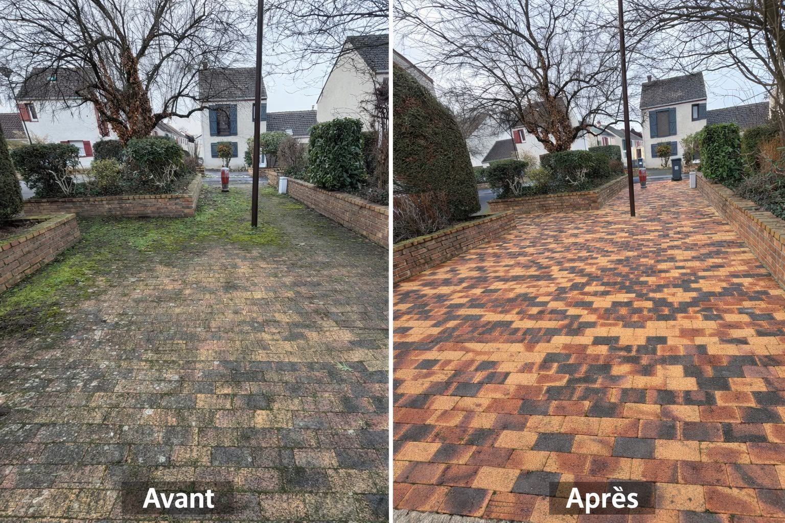 Avant / après : nettoyage et démoussage d’une cour pavée