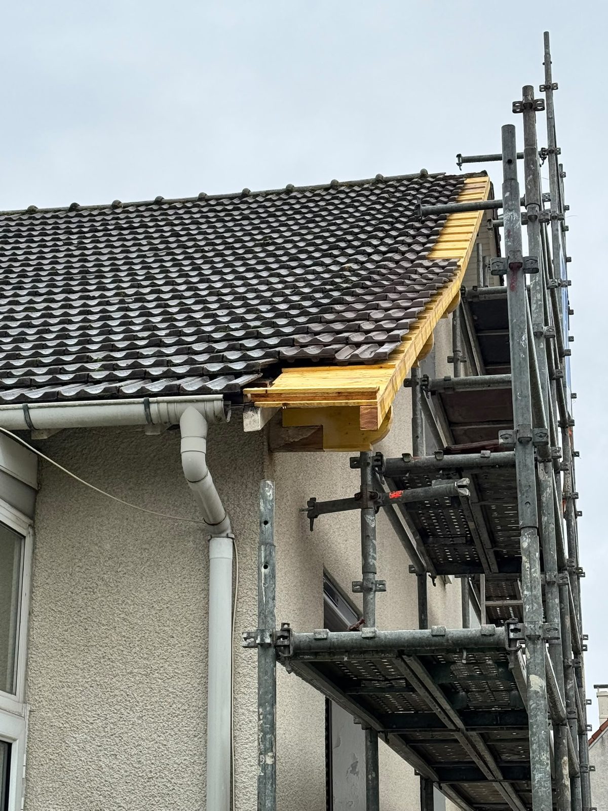 Rénovation de toiture & toiture neuve